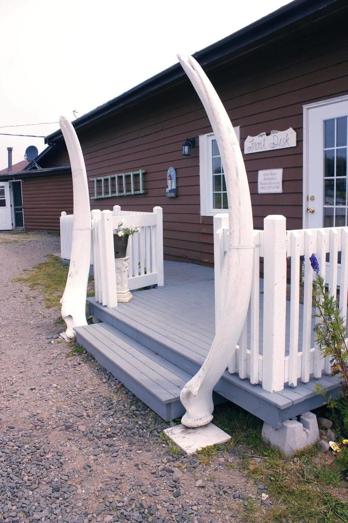 Brier Island Lodge Westport Екстериор снимка